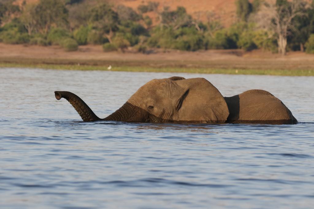 The Residence Villa Chobe Kasane Luaran gambar