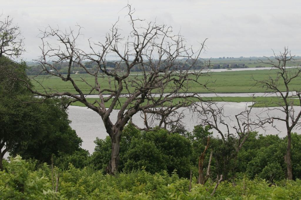 The Residence Villa Chobe Kasane Luaran gambar